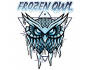 Frozen Owl